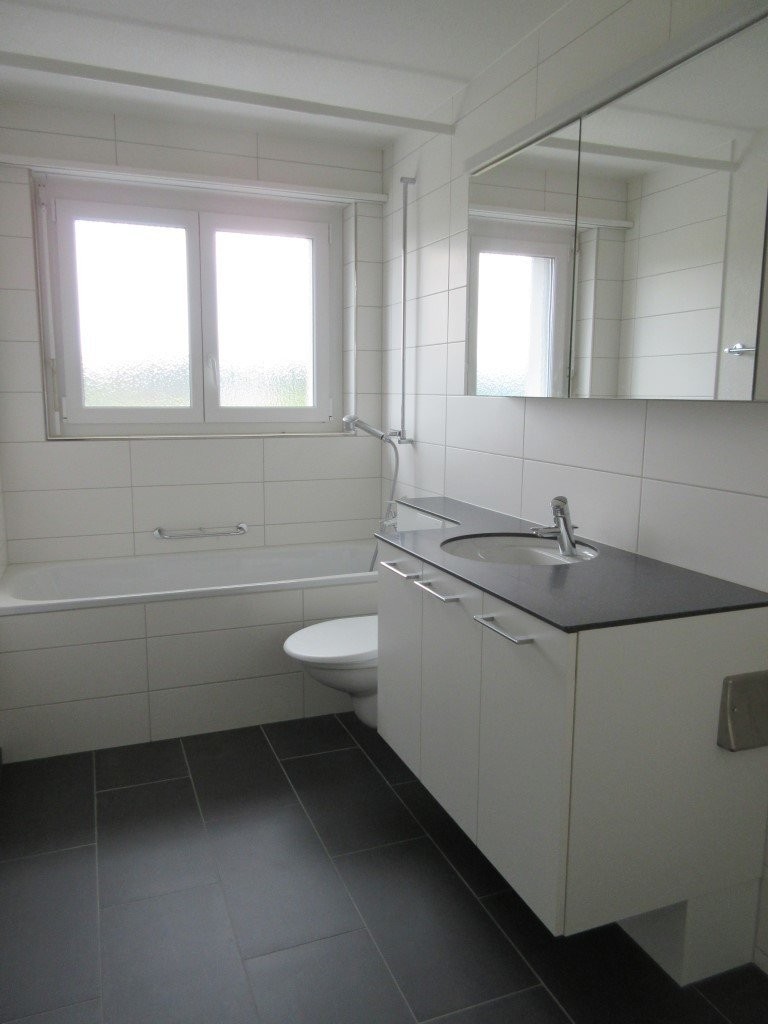 Rent a 1 room apartment in Langenthal Flatfox