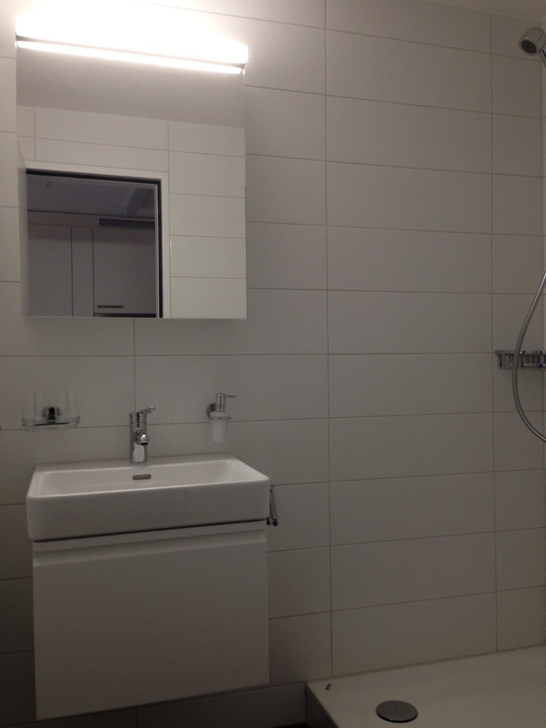 Rent a 1 room apartment in Thun Flatfox