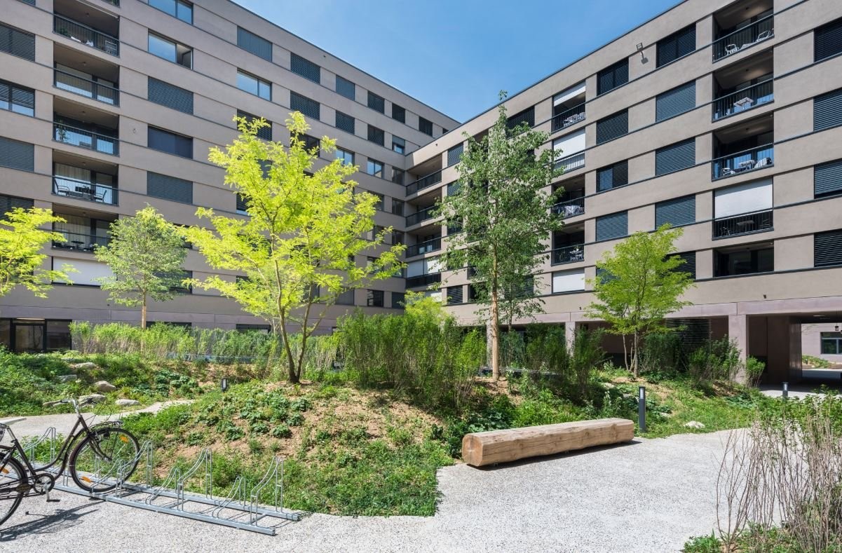 Bild 2 ½ Zimmer-Wohnung in Basel mieten