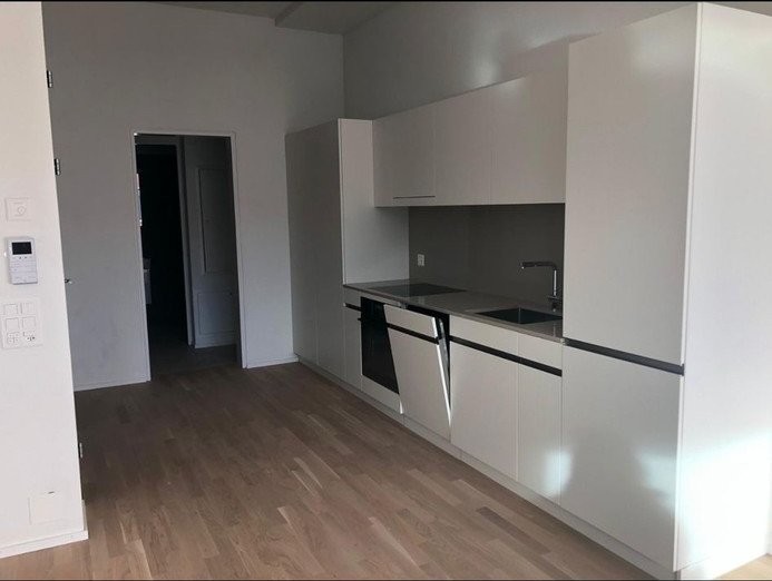 Bild 1 ½ Zimmer-Wohnung in Zürich mieten