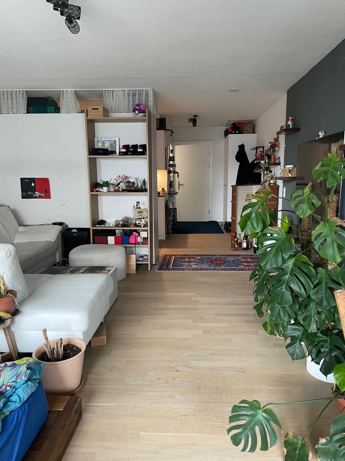 Bild 1 ½ Zimmer-Wohnung in Bern mieten