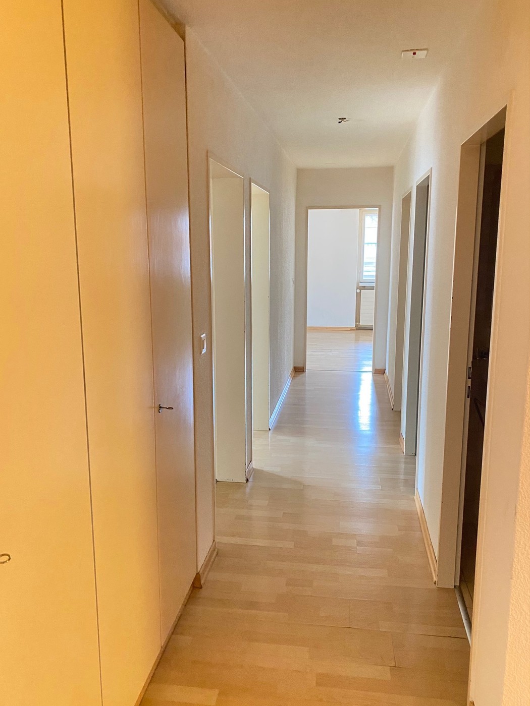 Bild 4 ½ Zimmer-Wohnung in Zürich mieten
