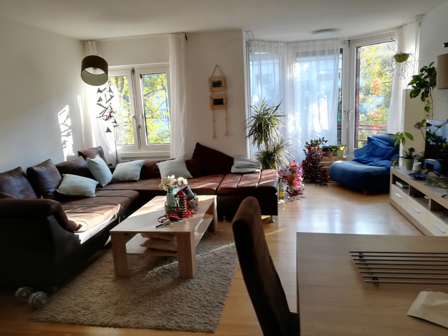 Bild 2 ½ Zimmer-Wohnung in Zürich mieten