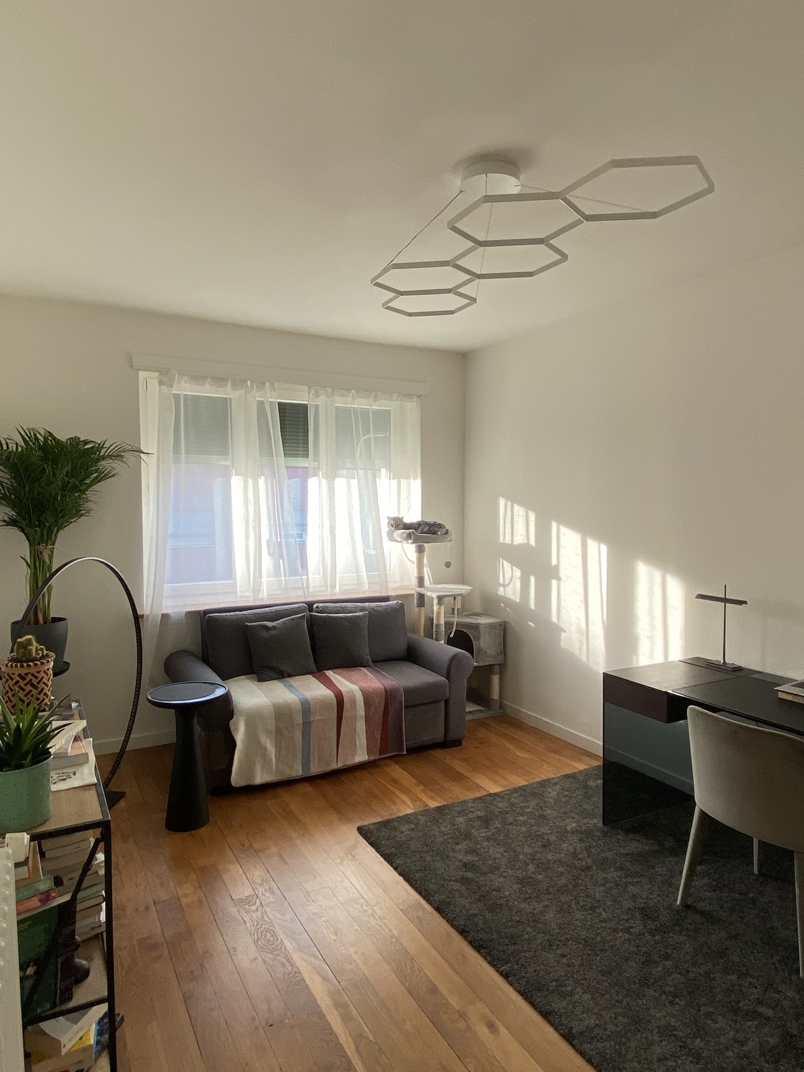 Bild 2 ½ Zimmer-Wohnung in Zurich mieten