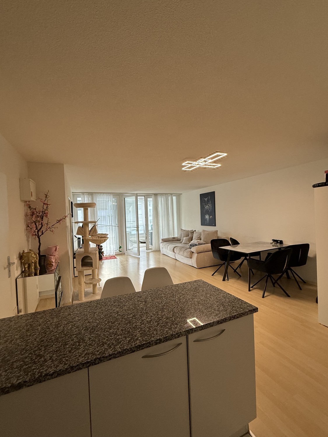 Bild 2 ½ Zimmer-Wohnung in affoltern zürich mieten