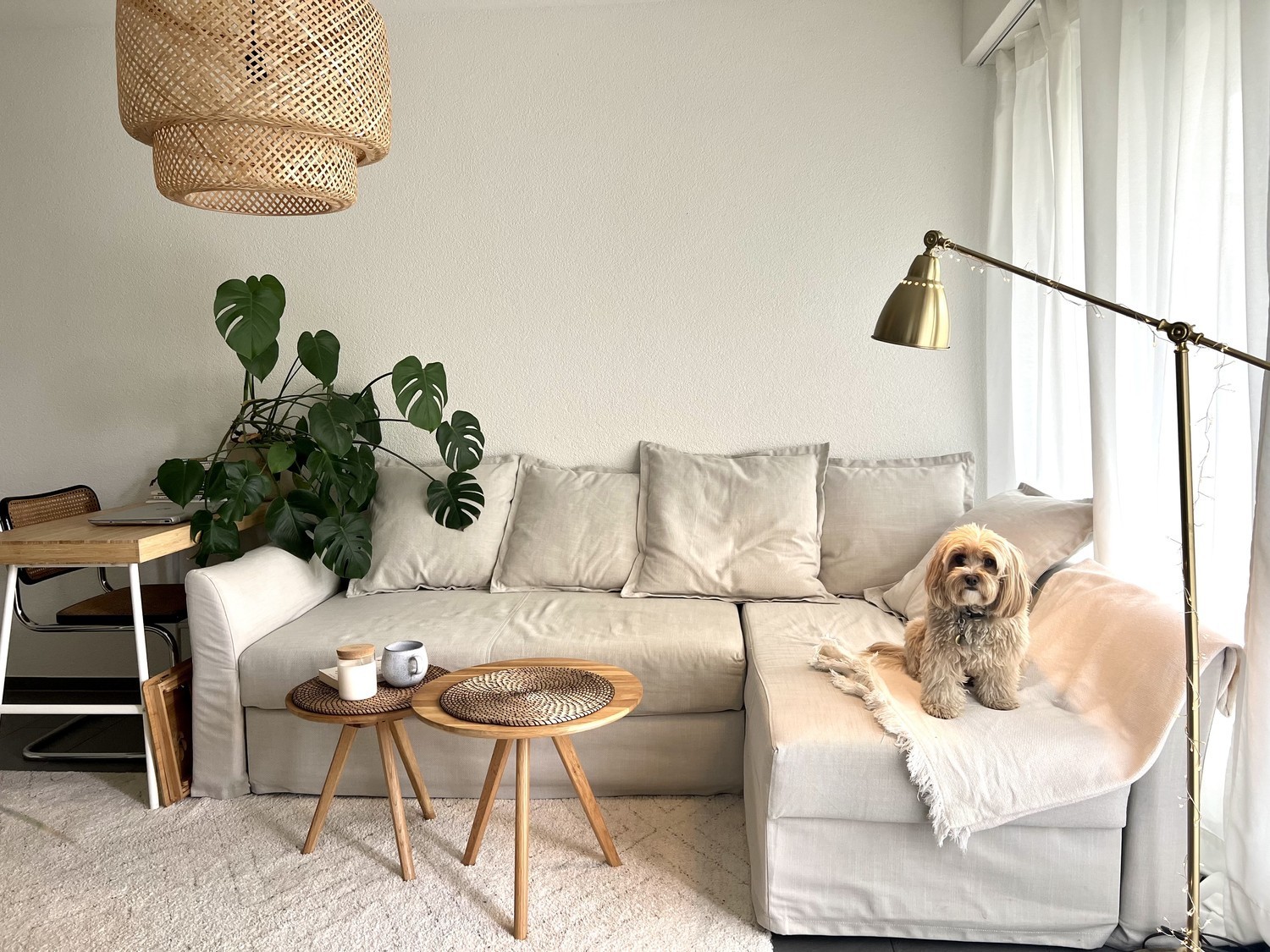 Bild 1 ½ Zimmer-Wohnung in Zurich mieten