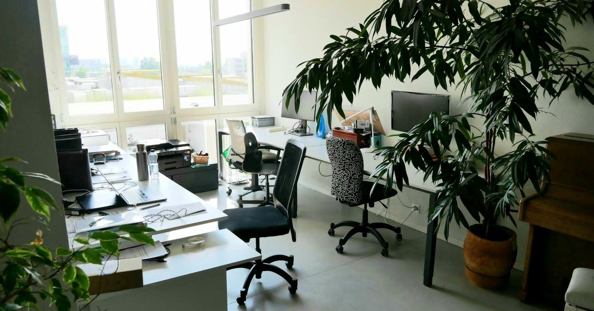 Rent a room in a shared flat in Oerlikon, Zúrich Flatfox