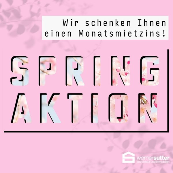 Spring_Aktion_2024.jpeg
