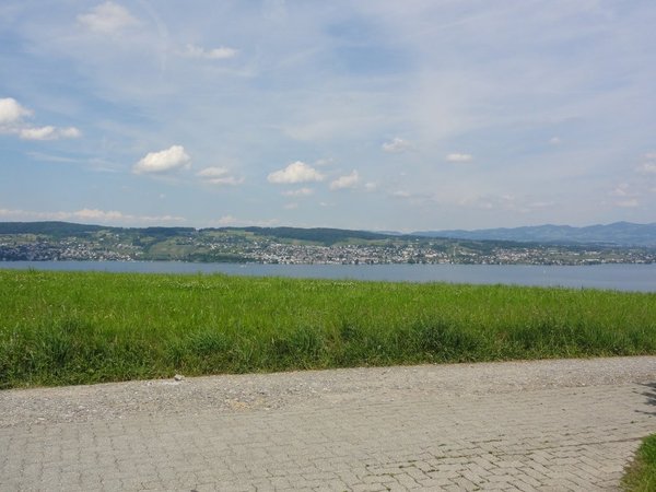Aussicht_Zuerichsee.jpg
