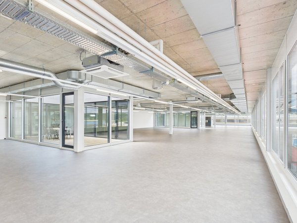 Blick in die Fläche