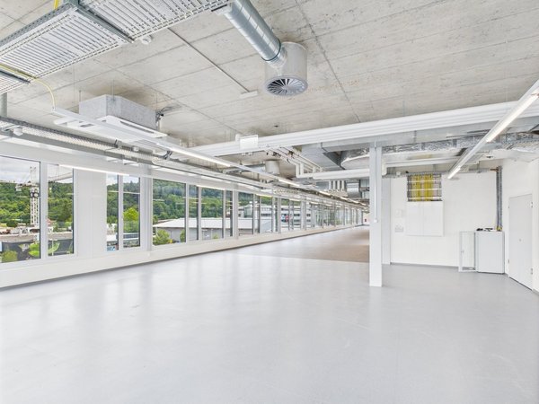 Blick in die Fläche