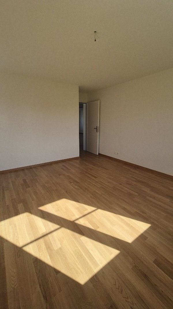 20250814_101537_resized