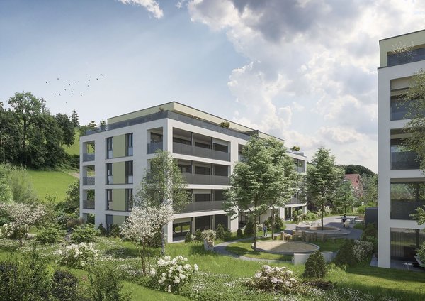 7307_Muehlethalstr_Zofingen_Aussen_K01_180724