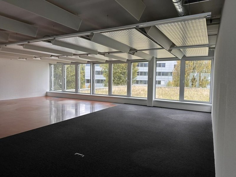 Waldeggstrasse 37, Liebefeld