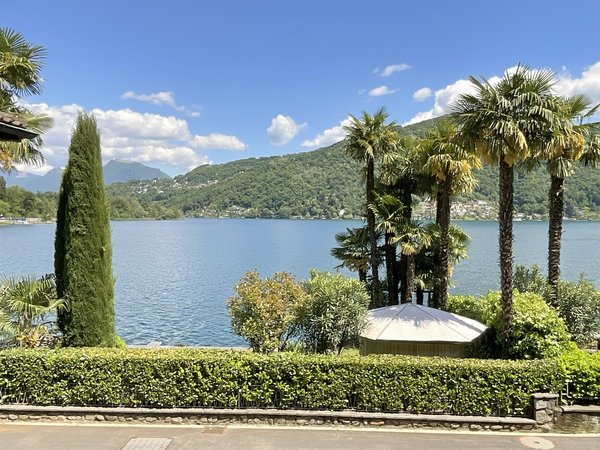 Zypresse, Palmen, Rasen und Baden