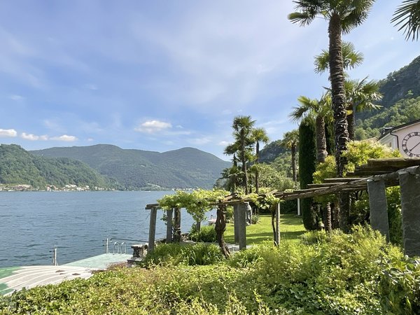 Eigene Palmen und eigene Wiese