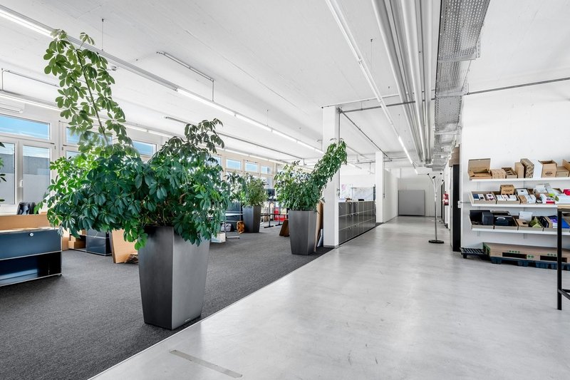 individueller Mieterausbau