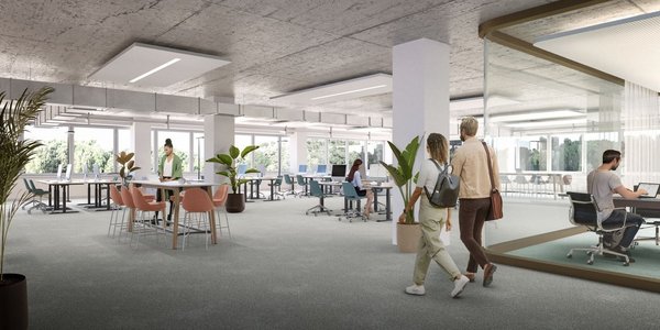 Visualisierungen_Manno CG2_MKT GENE (1).jpg