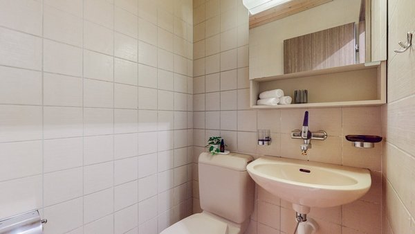 4.5-Zi-Whg-in-Langnau-WC.jpg