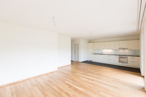 Wohnbereich mit offener Küche