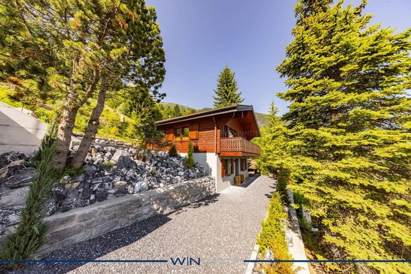 Into the wild - pflegeleicht