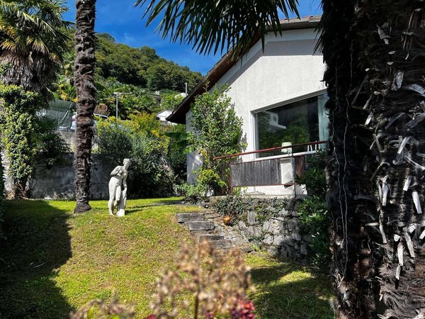 Palmen, See und Ruhe