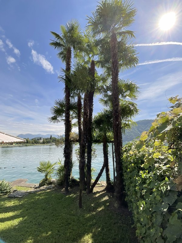 Eigene Badestelle auf dem Grundstück