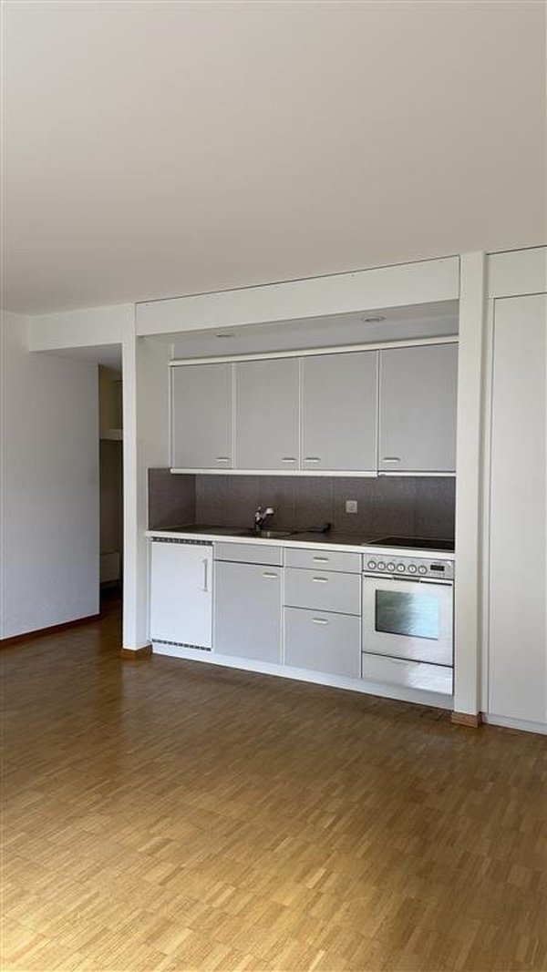 Wohn- und Schlafbereich + Küche