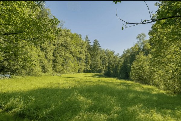 Unverbaubare Gesund-Aussicht