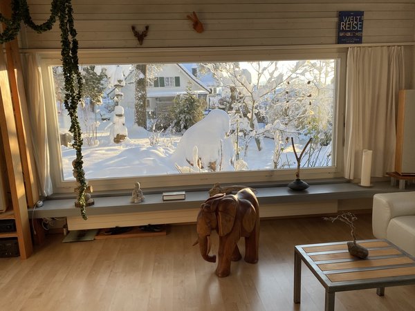 Wohnzimmer Südfenster