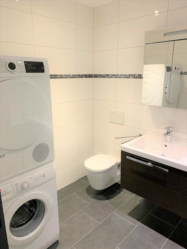 Waschmaschine und Tumbler