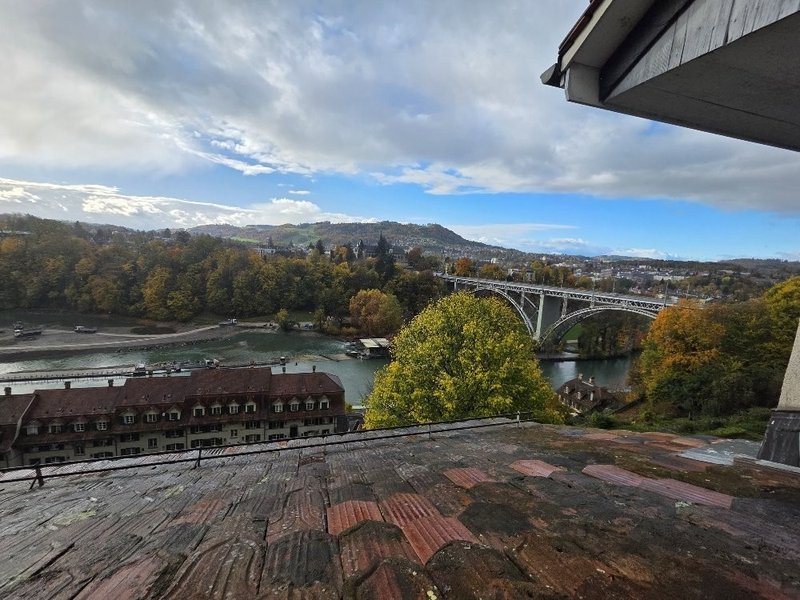 20251024_095552_resized