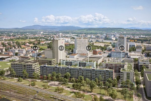 2Areal Volta Basel Num..jpg