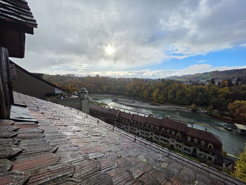 20251024_095602_resized