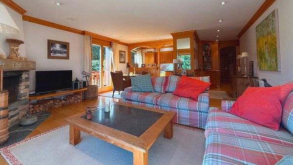 Salon avec cheminée / Living room with fireplace / Soggiorno con camino