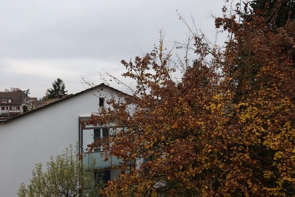 Aussicht aus dem Zimmer