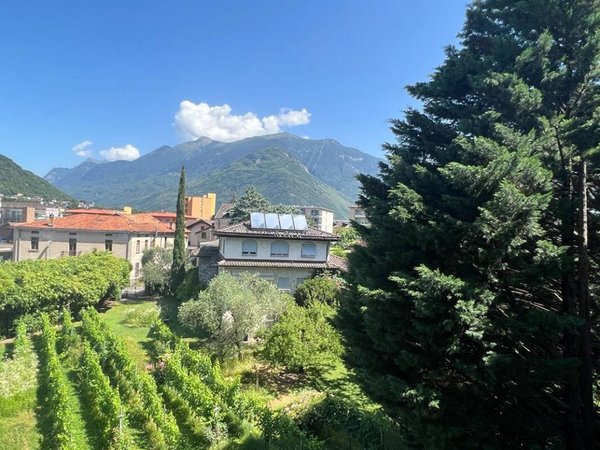 WhatsApp Image 2022-06-23 at 11.40.44 (4).jpeg