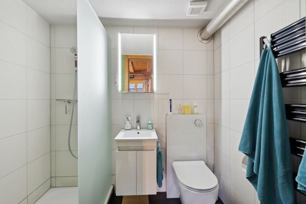 Toilette und Dusche Studio