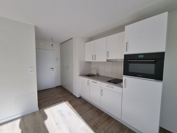 Küche und Eingangsbereich