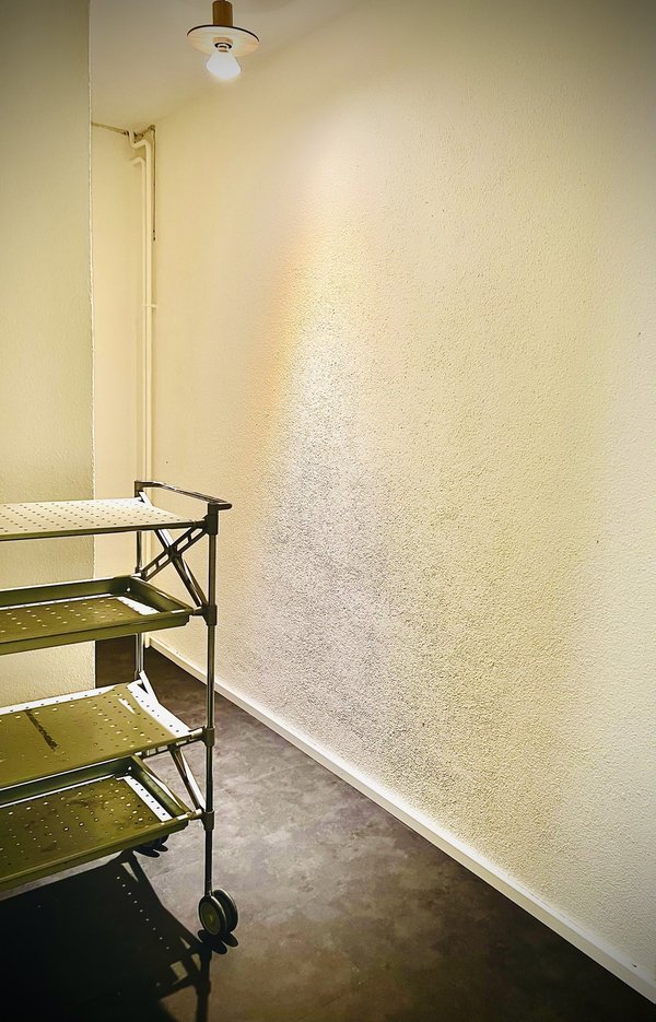 Eingangsbereich (mit Stauraum)