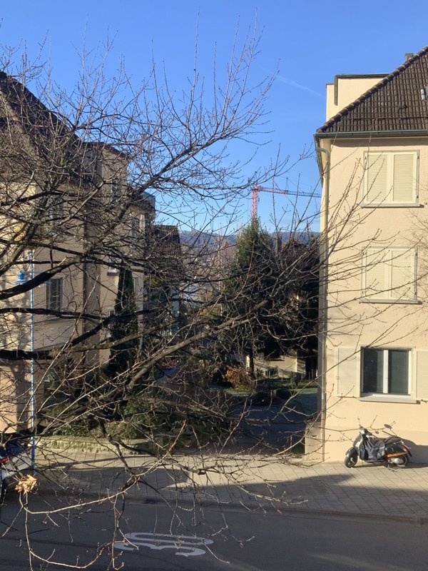 View from the balcony