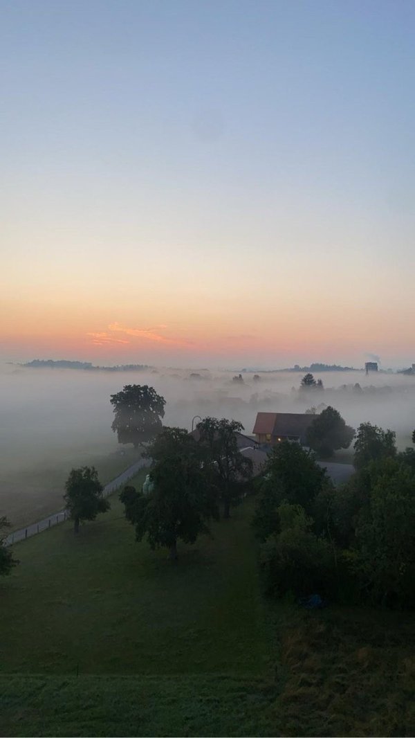 Blick Zähneputzen 2