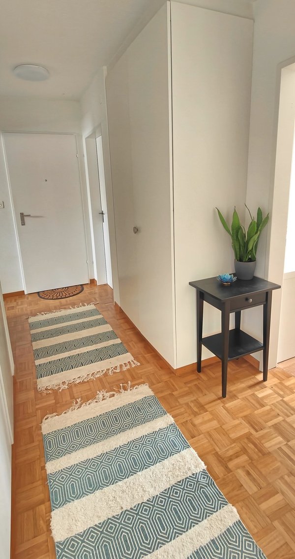 Flur mit Blick zur Wohnungstür, rechts neben dem kleinen Regal ist das Zimmer