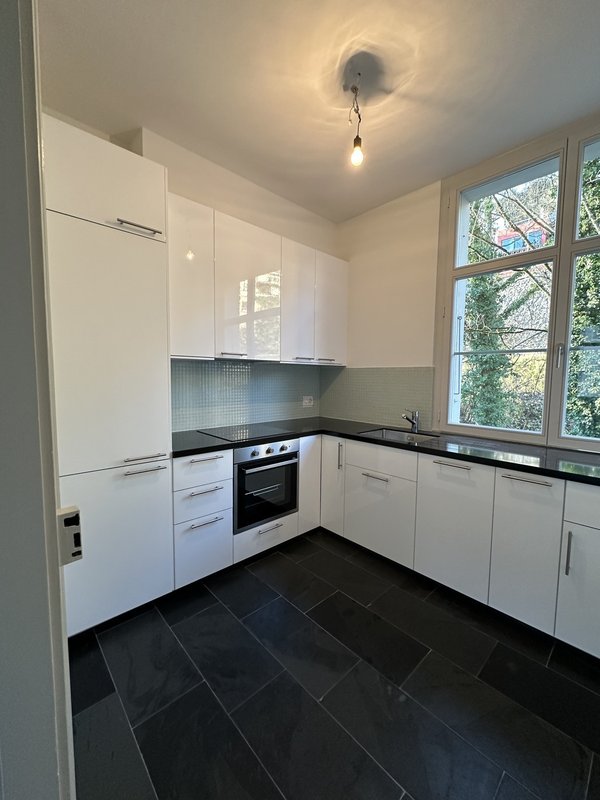 Cuisine agencée, frigo-congélateur, hotte extérieure, plaques induction, grande fenêtre triple vitrage., sol ardoise