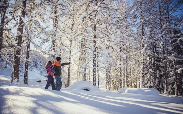 Winter Wunderland Goms