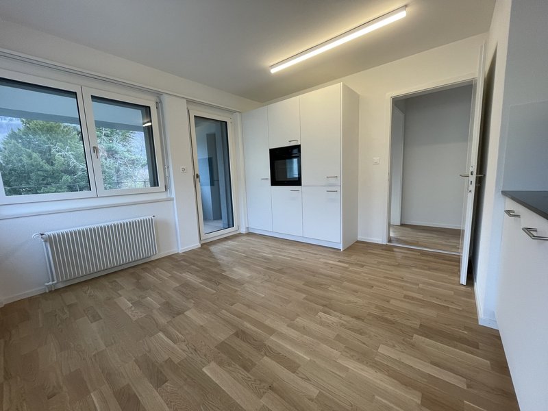 Küche mit Zugang Laube/Balkon