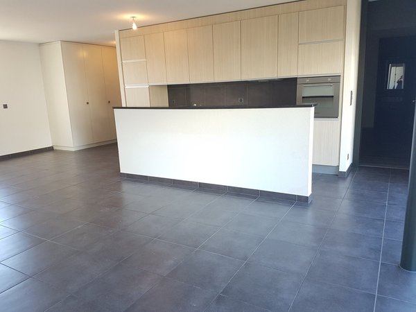 Cuisine ouverte sur séjour