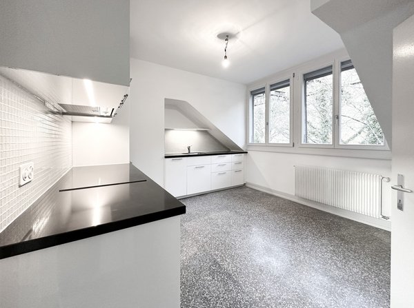 Cuisine habitable 14,5m2 agencée, frigo-congélateur, hotte extérieure, plaques induction, grande fenêtre triple vitrage, sol, ardoise