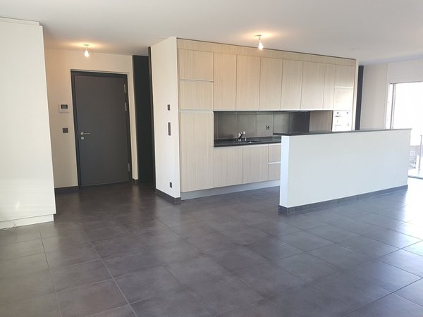 Cuisine ouverte sur séjour