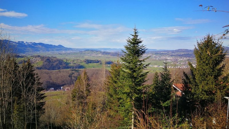 Sicht bis Rapperswil
